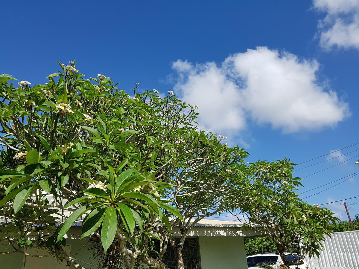 Saipan Family Residence Susupe Екстериор снимка